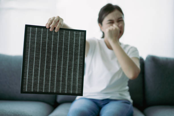 Best Home Air Vent Cleaning  in USA